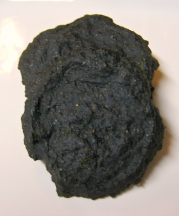 Charcoal dog on sale biscuits recipe