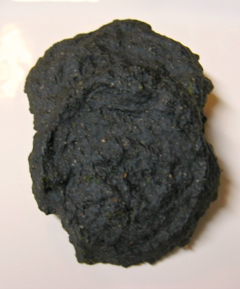 charcoal in dog treats