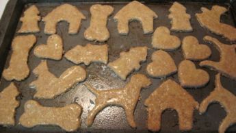 peanut butter dog biscuit recipe