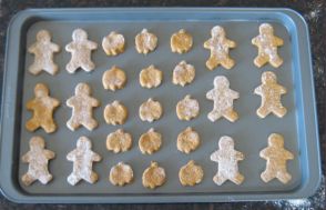 pumpkin dog treats