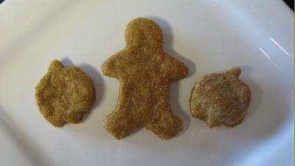 pumpkin dog treats