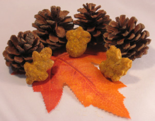 pumpkin recipes for pet treats