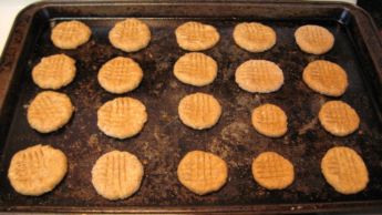 peanut butter dog biscuit recipe