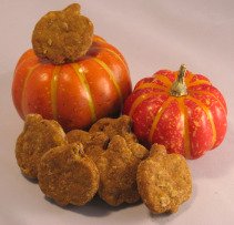 pumpkin recipes for pet treats