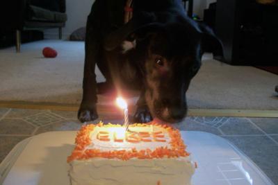 Elbee turns one.