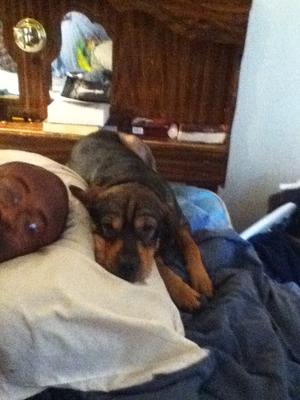 shareing the pillow 