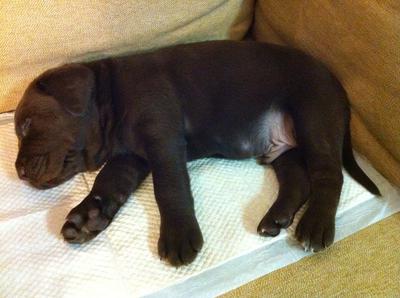 2 months old baby
