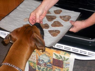 Offical Biscuit Taster